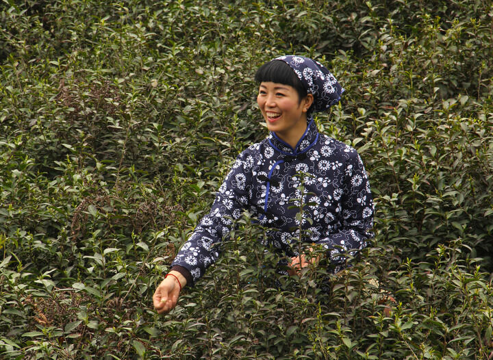 96间房主跳舞 侦探档案